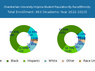 Chamberlain University-Virginia 2023 Student Population by Gender and Race chart