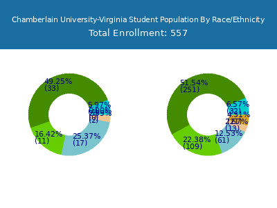 Chamberlain University-Virginia 2025 Student Population by Gender and Race chart