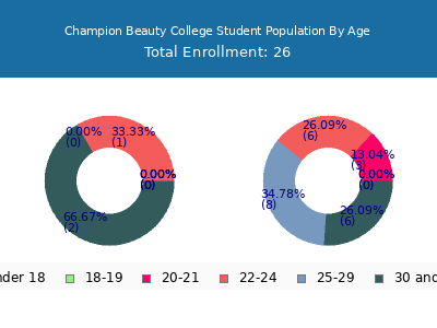 Champion Beauty College 2024 Student Population Age Diversity Pie chart