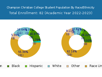Champion Christian College 2023 Student Population by Gender and Race chart