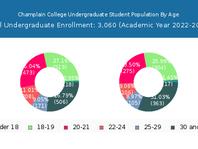 Champlain College 2023 Undergraduate Enrollment Age Diversity Pie chart