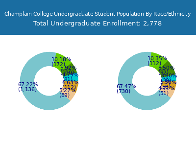 Champlain College 2025 Undergraduate Enrollment by Gender and Race chart