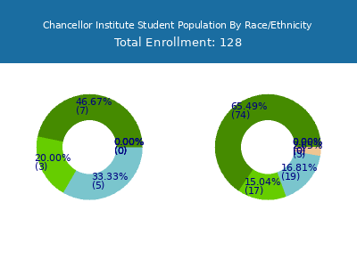 Chancellor Institute 2025 Student Population by Gender and Race chart