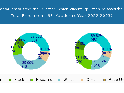 Charles A Jones Career and Education Center 2023 Student Population by Gender and Race chart