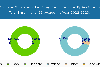 Charles and Sues School of Hair Design 2023 Student Population by Gender and Race chart