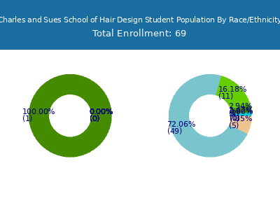 Charles and Sues School of Hair Design 2025 Student Population by Gender and Race chart