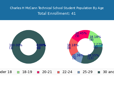 Charles H McCann Technical School 2024 Student Population Age Diversity Pie chart