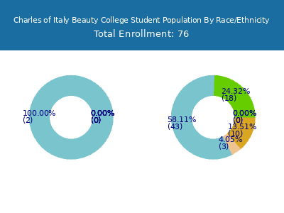 Charles of Italy Beauty College 2025 Student Population by Gender and Race chart