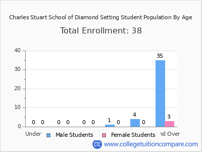 Charles Stuart School of Diamond Setting 2024 Student Population by Age chart