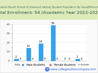 Charles Stuart School of Diamond Setting 2023 Student Population by Gender and Race chart