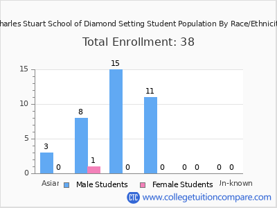 Charles Stuart School of Diamond Setting 2025 Student Population by Gender and Race chart