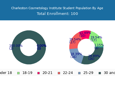 Charleston Cosmetology Institute 2024 Student Population Age Diversity Pie chart