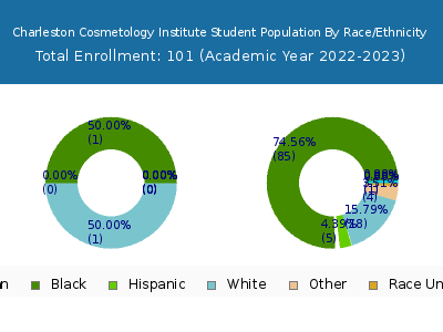 Charleston Cosmetology Institute 2023 Student Population by Gender and Race chart