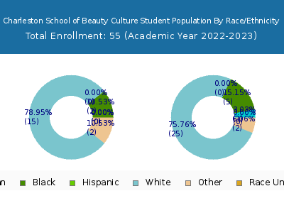 Charleston School of Beauty Culture 2023 Student Population by Gender and Race chart