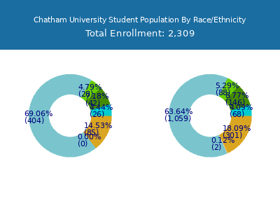 Chatham University 2025 Student Population by Gender and Race chart