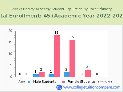 Cheeks Beauty Academy 2023 Student Population by Gender and Race chart