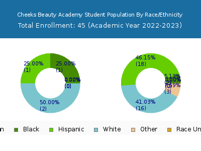 Cheeks Beauty Academy 2023 Student Population by Gender and Race chart