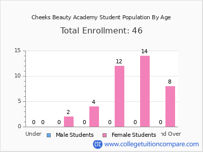 Cheeks Beauty Academy 2024 Student Population by Age chart