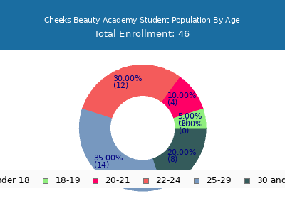 Cheeks Beauty Academy 2024 Student Population Age Diversity Pie chart