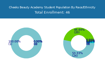 Cheeks Beauty Academy 2025 Student Population by Gender and Race chart