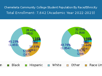 Chemeketa Community College 2023 Student Population by Gender and Race chart