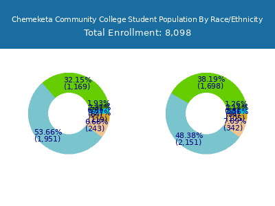 Chemeketa Community College 2025 Student Population by Gender and Race chart