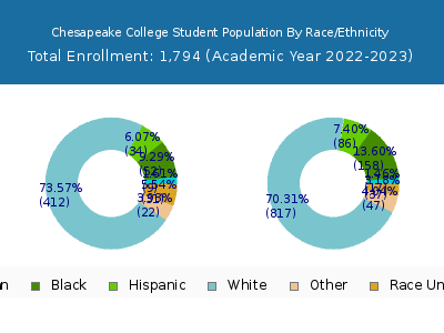 Chesapeake College 2023 Student Population by Gender and Race chart
