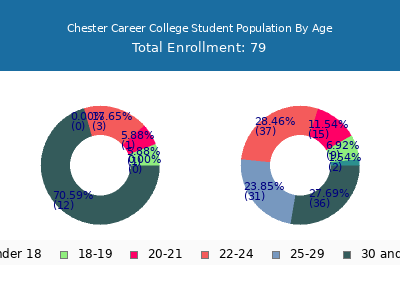 Chester Career College 2024 Student Population Age Diversity Pie chart