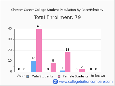 Chester Career College 2025 Student Population by Gender and Race chart