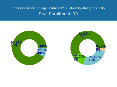 Chester Career College 2025 Student Population by Gender and Race chart