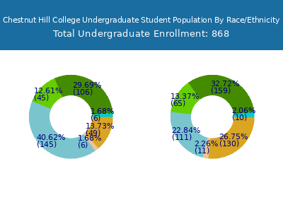 Chestnut Hill College 2025 Undergraduate Enrollment by Gender and Race chart