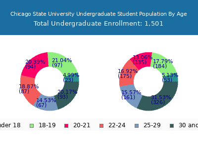 Chicago State University 2024 Undergraduate Enrollment Age Diversity Pie chart
