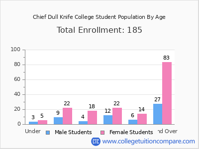 Chief Dull Knife College 2024 Student Population by Age chart