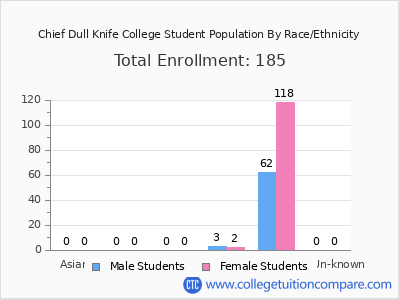 Chief Dull Knife College 2025 Student Population by Gender and Race chart
