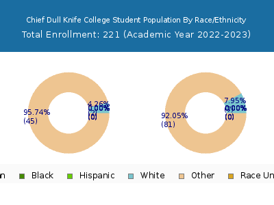 Chief Dull Knife College 2023 Student Population by Gender and Race chart