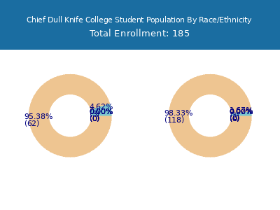 Chief Dull Knife College 2025 Student Population by Gender and Race chart