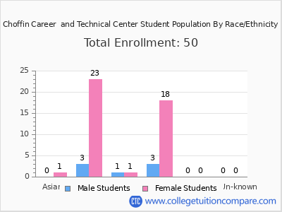 Choffin Career  and Technical Center 2025 Student Population by Gender and Race chart