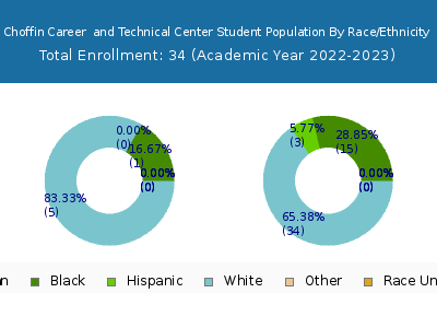 Choffin Career  and Technical Center 2023 Student Population by Gender and Race chart