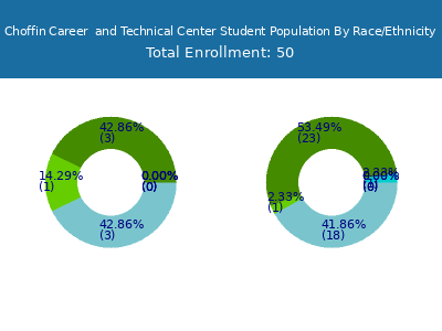 Choffin Career  and Technical Center 2025 Student Population by Gender and Race chart