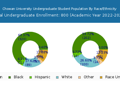 Chowan University 2023 Undergraduate Enrollment by Gender and Race chart