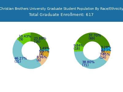 Christian Brothers University 2025 Graduate Enrollment by Gender and Race chart