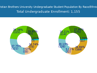 Christian Brothers University 2025 Undergraduate Enrollment by Gender and Race chart