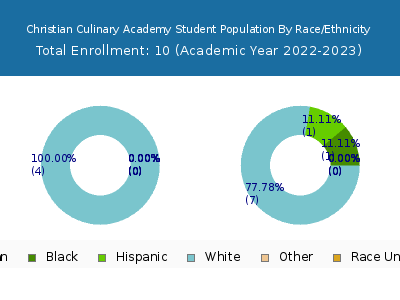 Christian Culinary Academy 2023 Student Population by Gender and Race chart