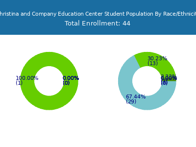 Christina and Company Education Center 2025 Student Population by Gender and Race chart