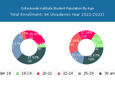 Cinta Aveda Institute 2023 Student Population Age Diversity Pie chart