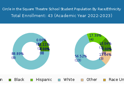 Circle in the Square Theatre School 2023 Student Population by Gender and Race chart