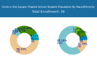 Circle in the Square Theatre School 2025 Student Population by Gender and Race chart