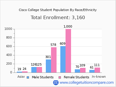 Cisco College 2025 Student Population by Gender and Race chart