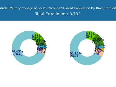 Citadel Military College of South Carolina 2025 Student Population by Gender and Race chart