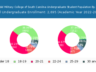 Citadel Military College of South Carolina 2023 Undergraduate Enrollment Age Diversity Pie chart
